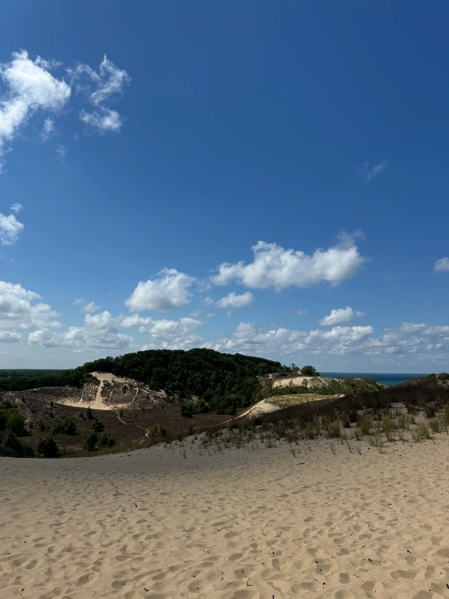 Asset